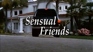 Skinemax movie – ”Sensual Friends”